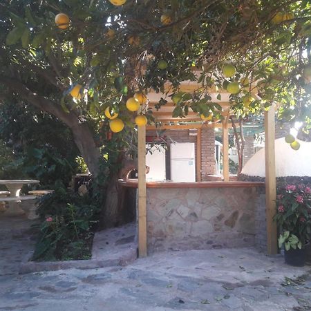 Finca Los Aguacates Trapiche  ภายนอก รูปภาพ