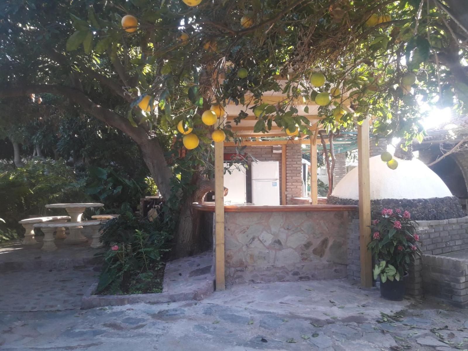 Finca Los Aguacates Trapiche  ภายนอก รูปภาพ
